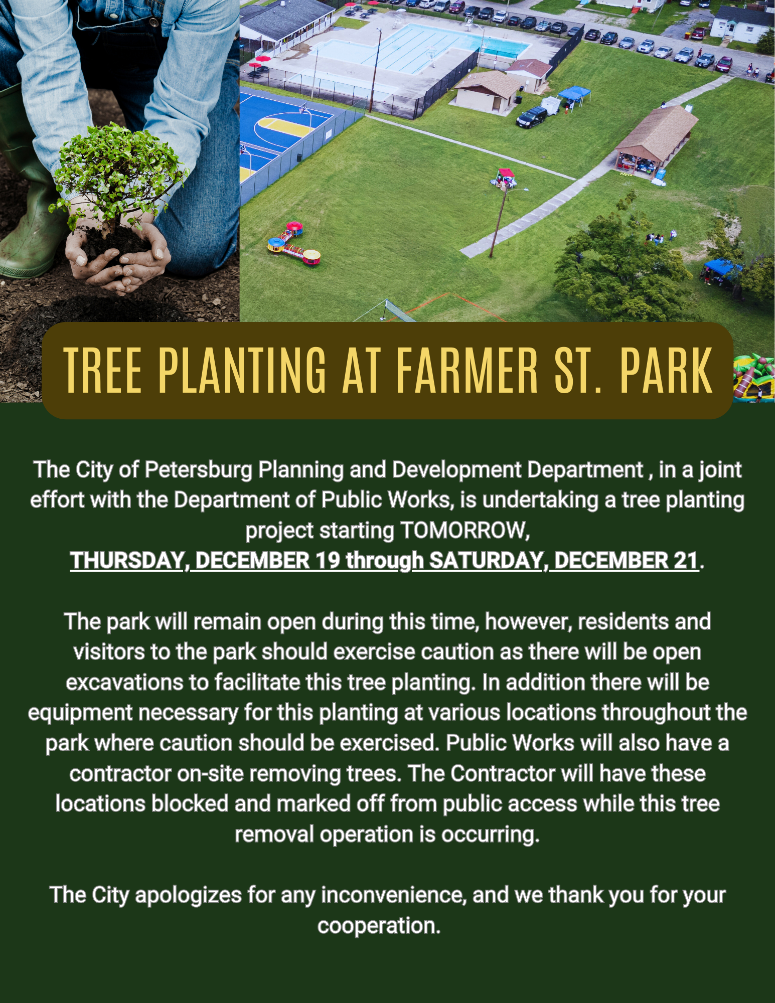 help us plant trees! (1)