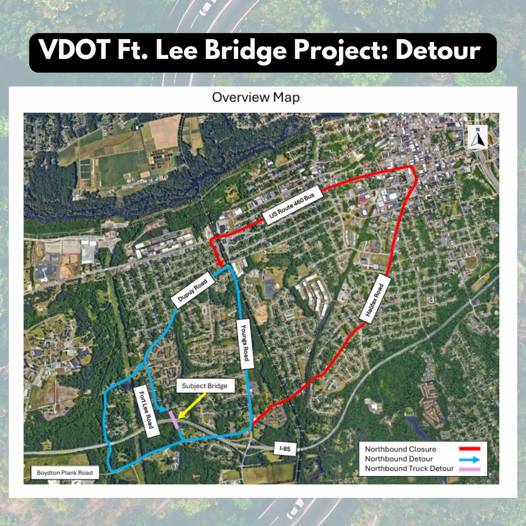 Your paragraph text (55)