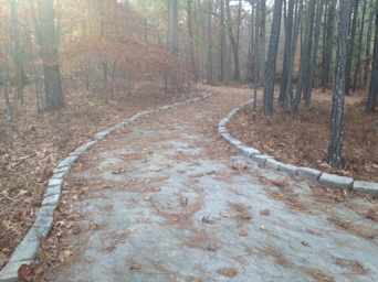 Wilcox Lake Walking Trail